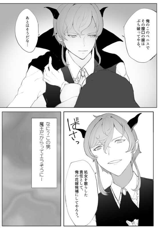 冷酷ドSな年下魔王は聖女を孕ませたい! [ecrune] | DLsite がるまに