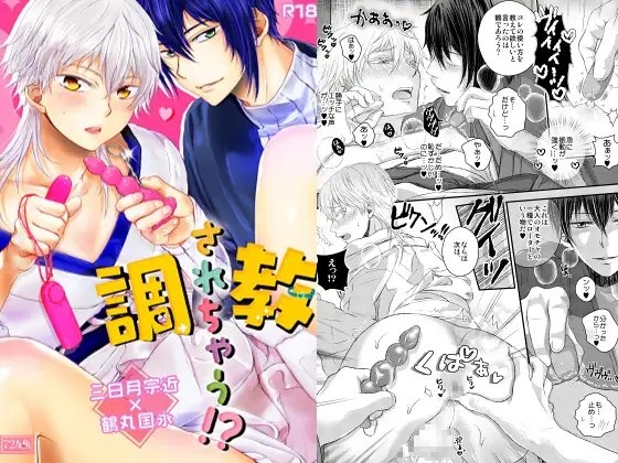 調教されちゃう!? [724魚] | DLsite がるまに