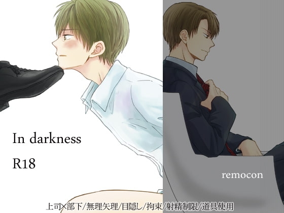 In darkness [リモコン] | DLsite がるまに