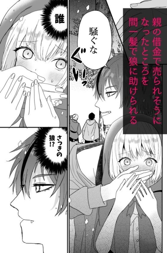 転生赤ずきんは人狼に狂愛される [蜜月あまね] | DLsite がるまに