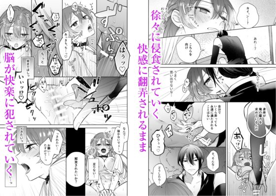 異世界転生した悪役令嬢は偏愛魔導士に堕とされる [うにトロカーニバル] | DLsite がるまに