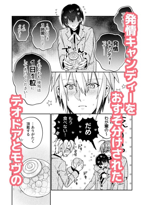 【モブハメ番外編2本立て】平凡モブ、2度目の恋は溺愛確定しました!?+転生モブはBLゲーの世界でハメられ攻略されました!?発情編 [niwaniwa] | DLsite がるまに