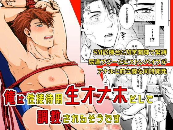俺は性接待用生オナホとして調教されるそうです [ビバ・みきのすけ] | DLsite がるまに