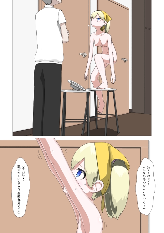 訪問裸メイドサービス [エゾ] | DLsite 同人 - R18