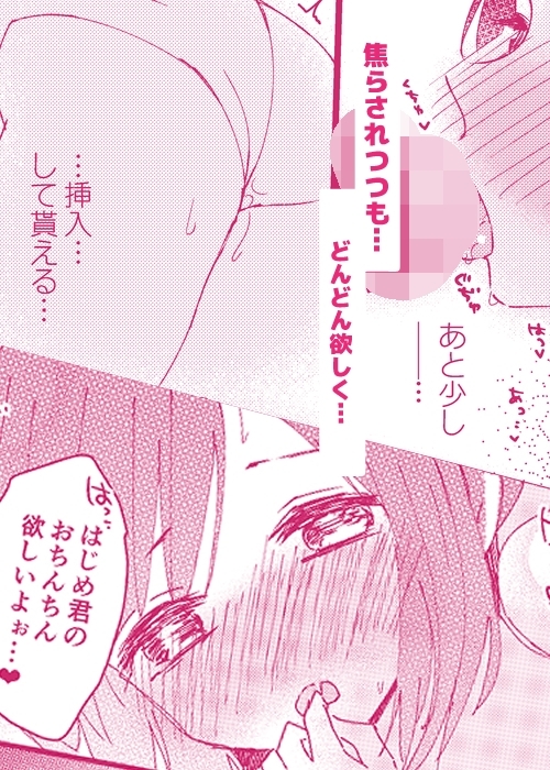 零さんとせっくすがしたい集 [EYM] | DLsite がるまに