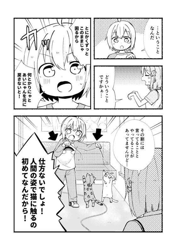 はんぺんチェンジ [全力疾走猫] | DLsite 同人