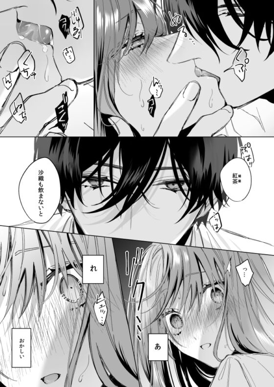 冷徹王子は溺愛の素質があるかもしれない 2 [Haikey] | DLsite がるまに