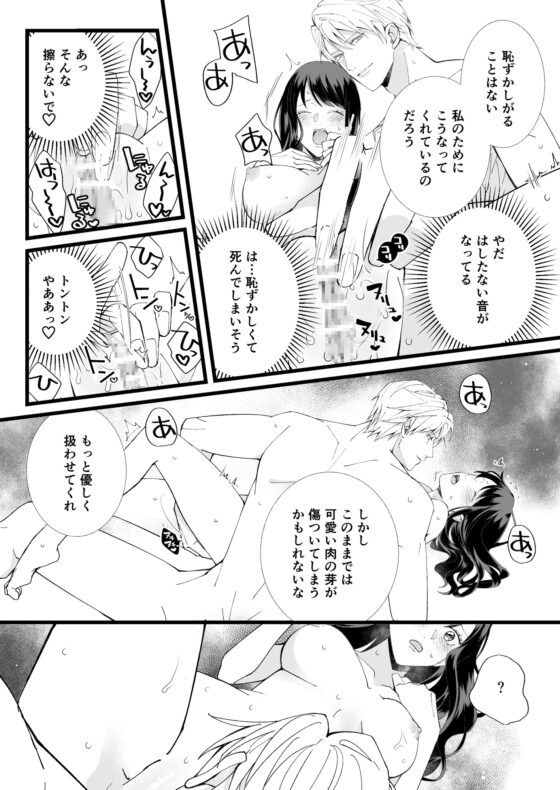 救国の英雄は烏の魔女を冀う [YellowPost] | DLsite がるまに