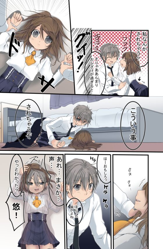 2人のかくしごと [ぶたみんち] | DLsite がるまに