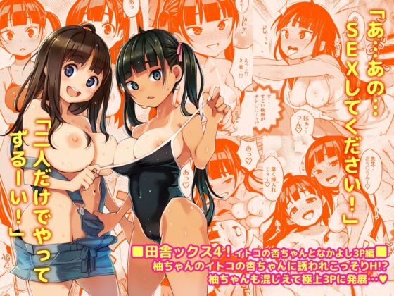 田舎ックス総集編 [Attic Work Space] | DLsite 同人 - R18
