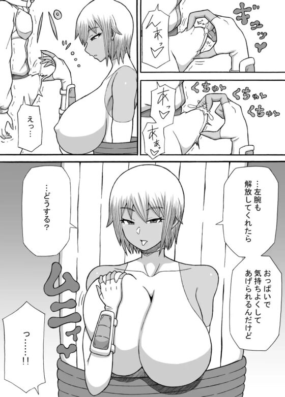 女盗賊のおっぱい罠 [さがのためのさーが] | DLsite 同人 - R18