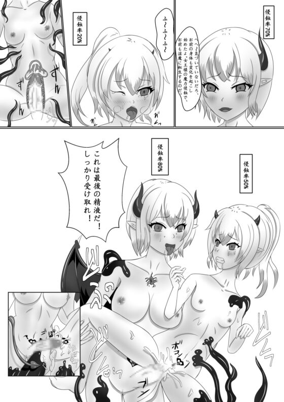 Chapel Of Succubus ~淫魔転生聖職者 [濁清軒] | DLsite 同人 - R18