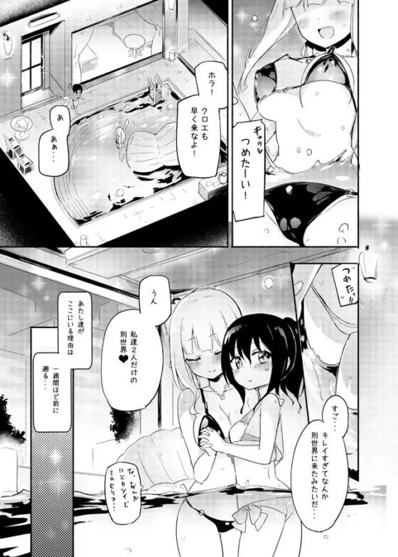 ニップルリリーガールズ2 ほむら屋★プレアデス総集編 vol.2 [ほむら屋★プレアデス] | DLsite 同人 - R18