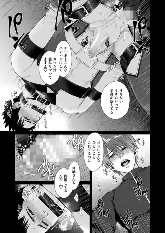 AFTER RECORD [Gehlenite] | DLsite がるまに