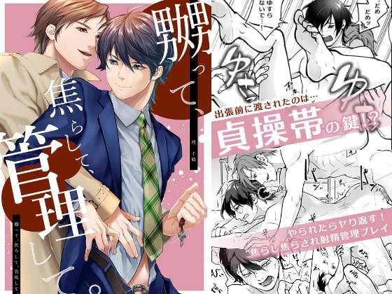 嬲って、焦らして、管理して。 [空想グラッセ] | DLsite がるまに