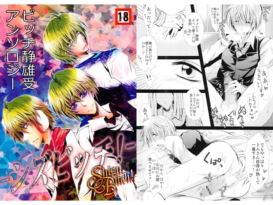 ビッチ静雄受アンソロジー「ShizuBitch!」 [Romanesque] | DLsite がるまに
