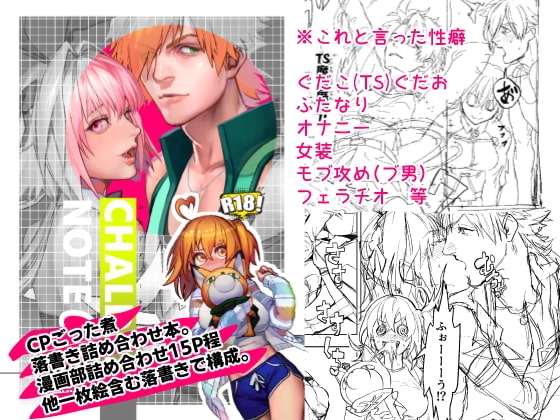 Chaldea Note α [MECCHORI.] | DLsite がるまに