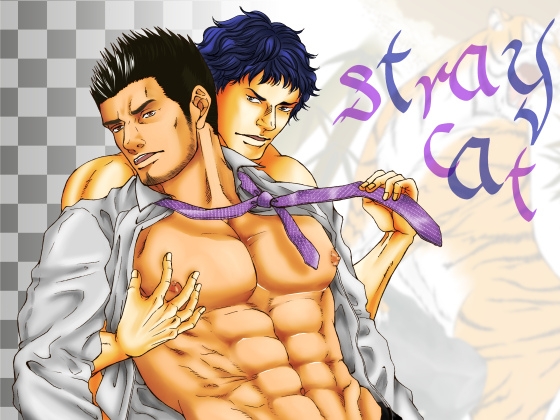 stray cat [とりあえず生] | DLsite がるまに