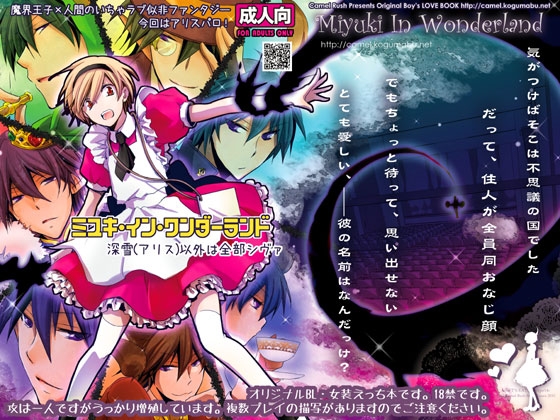 ミユキ・イン・ワンダーランド -深雪(アリス)以外は全部シヴァ- [Camel Rush] | DLsite がるまに