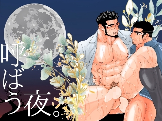 呼ばう夜。 [碇夕] | DLsite がるまに