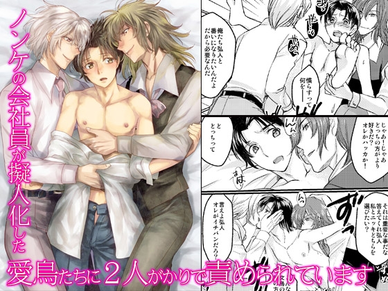ノンケの会社員が擬人化した愛鳥たちに2人がかりで責められています [OL] | DLsite がるまに