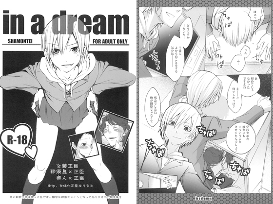 in a dream [沙門亭] | DLsite がるまに