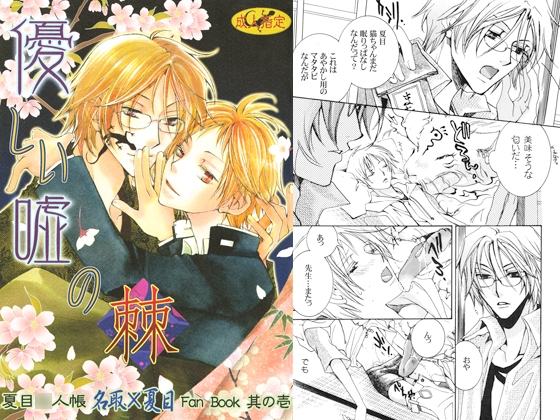 優しい嘘の棘 [Heavenly（Like Hell）] | DLsite がるまに