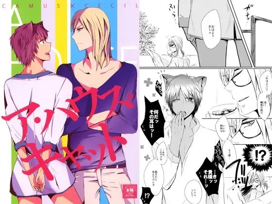 A HOUSE CAT [になもRe;] | DLsite がるまに