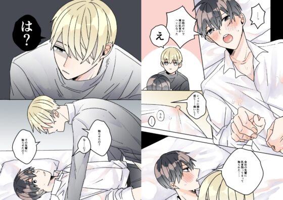 1日2回君の乳首を触らせて [ふふばこ] | DLsite がるまに