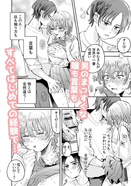 ヤリサーの姫くんのすべてを手に入れるまで [hizakozou] | DLsite がるまに