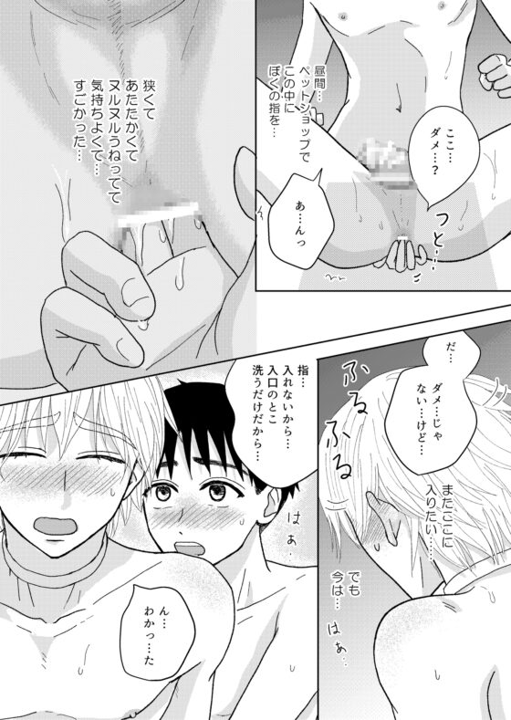 ぼくのペットのお兄さん2 [らんらんらん] | DLsite がるまに