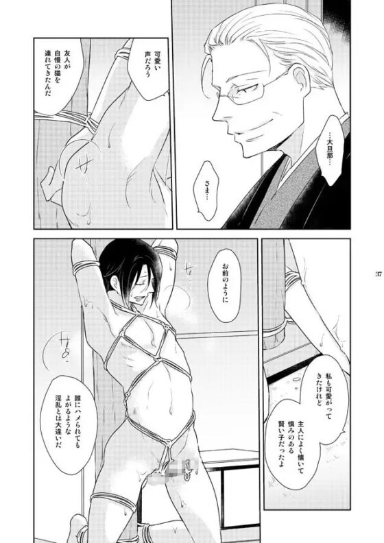 淫猫カフェ総集編2 [+10] | DLsite がるまに