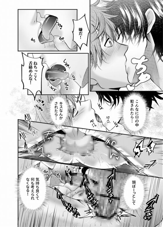 玩具のモニター君は本物の味を知らない [西のキオスク] | DLsite がるまに