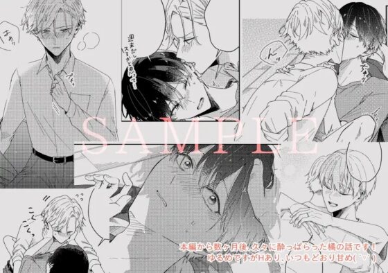 グッドモーニンググッドナイト2(総集編) [mer] | DLsite がるまに