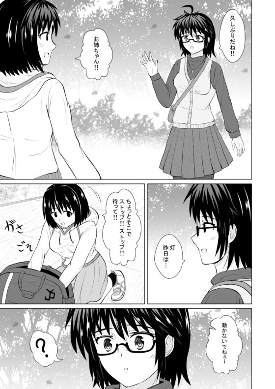 クレスト女子プロレスリングストーリー:電光ストライカー幸音 [電人メタル] | DLsite 同人
