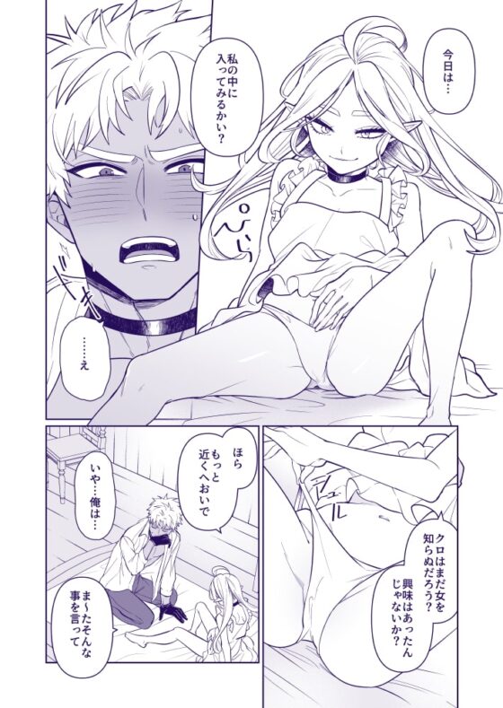 吸血鬼ノワ様の愛2 [ニタロウ亭] | DLsite がるまに