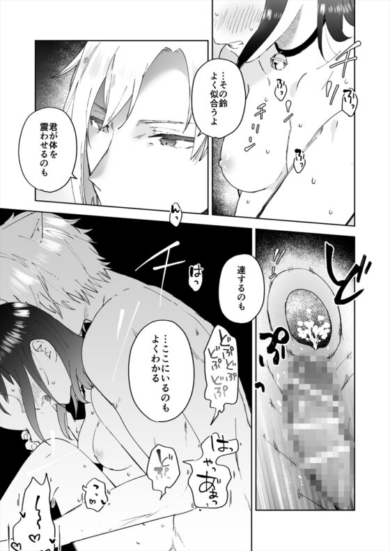 再召喚された元聖女は護衛騎士に囚われる2 [OTIBA] | DLsite がるまに