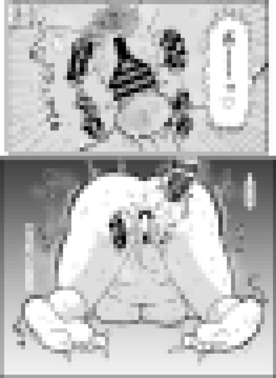 エッセイ風すけべ漫画集 [ちんわんランド] | DLsite 同人 - R18