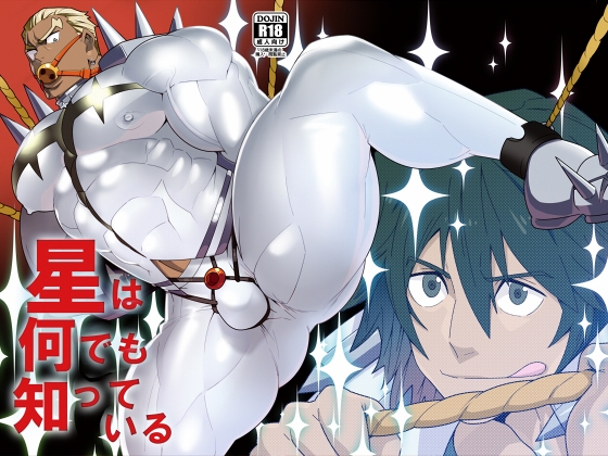 星は何でも知っている [まらぱるて] | DLsite がるまに
