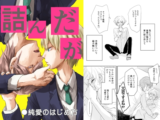 詰んだが 純愛のはじめ方 [ブルーチーズ] | DLsite がるまに
