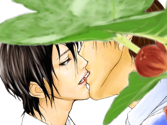 無花果 [季節香] | DLsite がるまに
