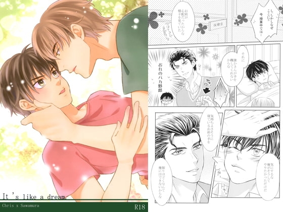 It's like a dream. [飴玉] | DLsite がるまに