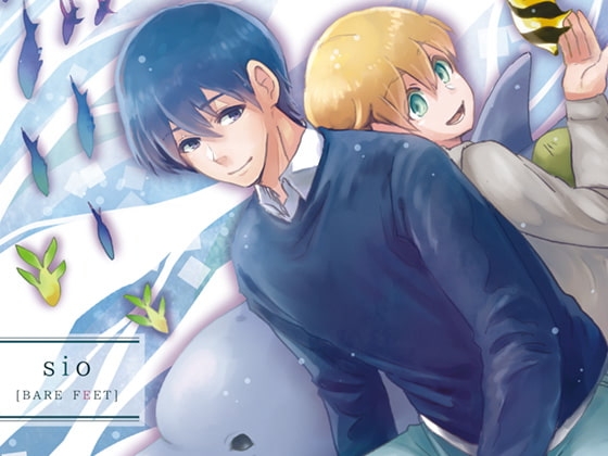 夜色のカーテン2+3 [el calm] | DLsite がるまに