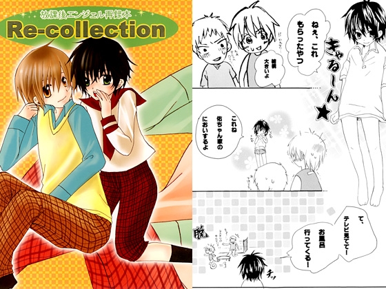 Re-collection [タルマヨ] | DLsite がるまに