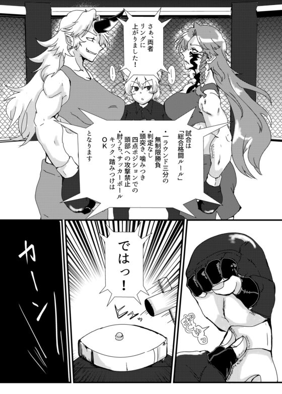 SCARLET NIGHT vol.5 激闘!美鈴VS勇儀 [星屑収集車] | DLsite 同人
