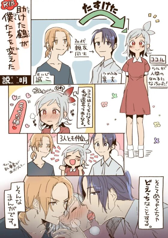 助けた鶴が僕たちを変えた [カシオピュータ] | DLsite がるまに