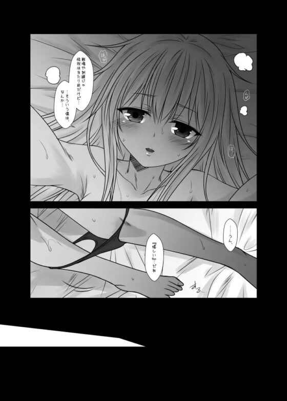 ECHOES+ [Check Mate!] | DLsite 同人 - R18
