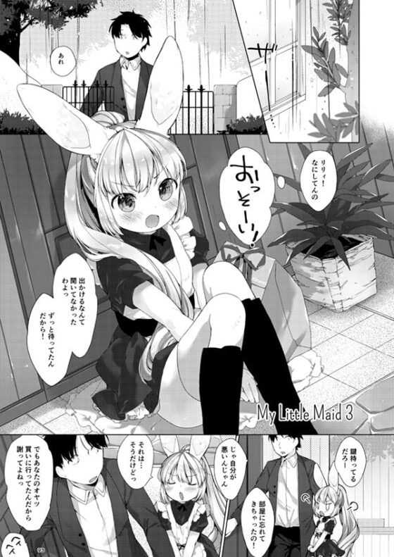 My Little Maid 総集編 [ANCHOR] | DLsite 同人 - R18