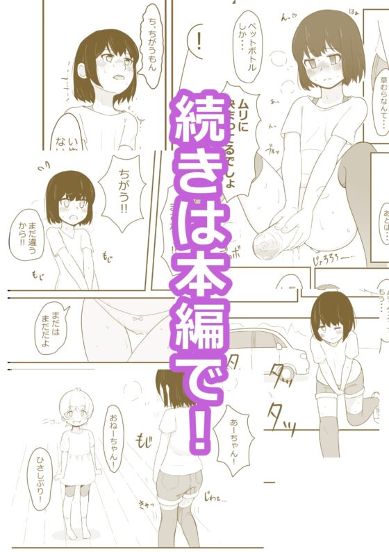 かなみのおしがま 車の中でおねーちゃんが大ピンチな話 [300c.c.] | DLsite 同人 - R18