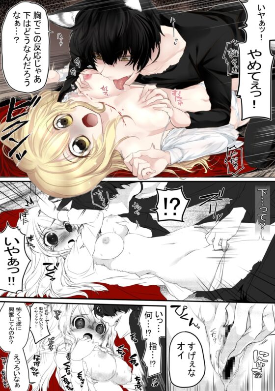 赤ずきんちゃん、食べられる。 [ぶたみんち] | DLsite 同人 - R18